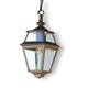 Roger Pradier, suspension