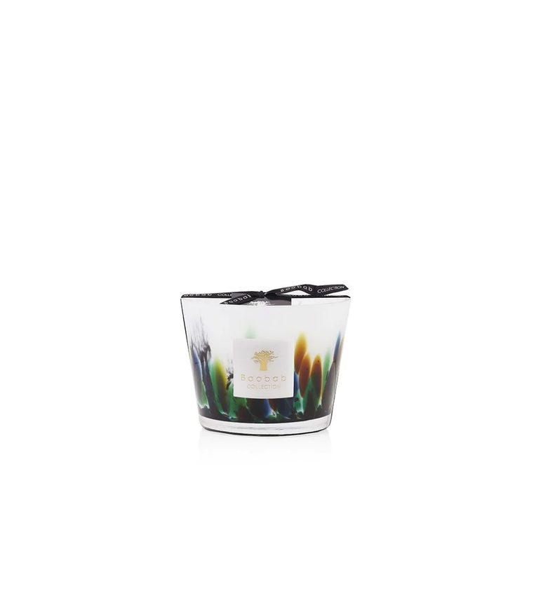 Bougie MAX 10 AMAZONIA de Baobab Collection Bougie MAX 10 AMAZONIA de Baobab Collection