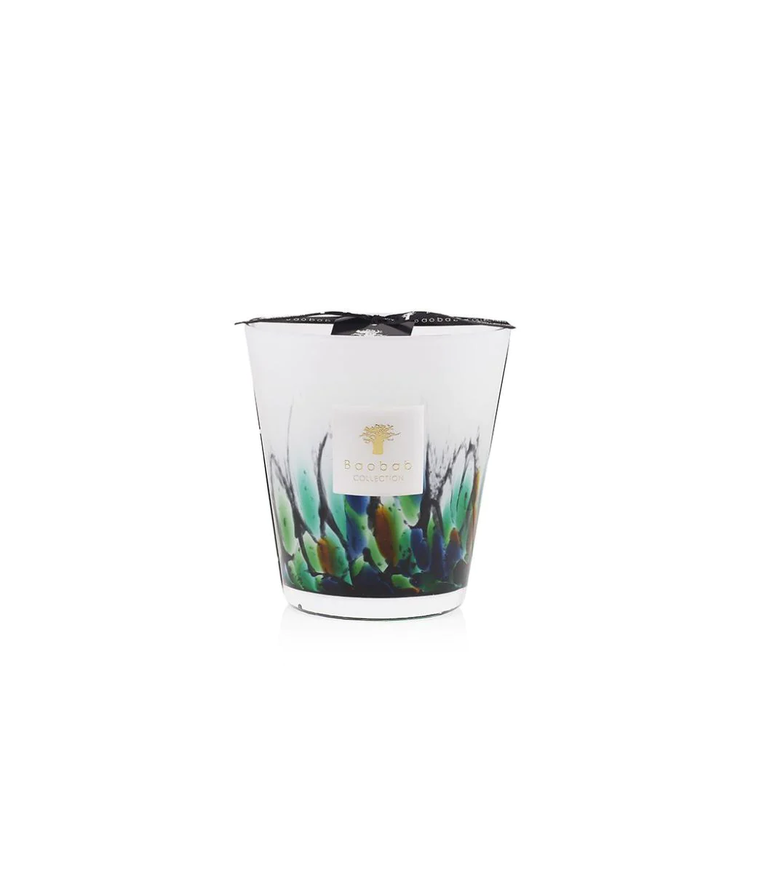 Bougie MAX 16 AMAZONIA de Baobab Collection Bougie MAX 16 AMAZONIA de Baobab Collection