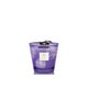 Bougie MAX 16 DARK PARMA de Baobab Collection