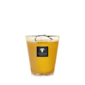 Bougie MAX 24 ZANZIBAR SPICES de Baobab Collection