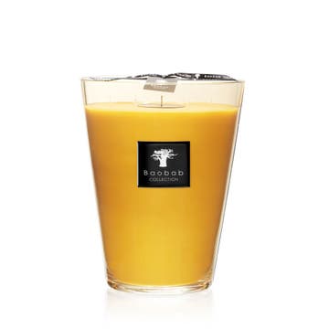 Bougie MAXI MAX ZANZIBAR SPICES Baobab Collection 