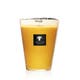 Bougie MAXI MAX ZANZIBAR SPICES Baobab Collection 
