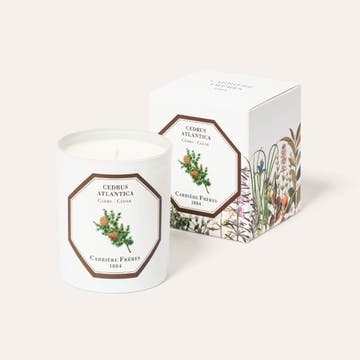 Bougie parfumée 100% cire végétale, Cèdre