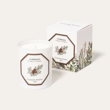 Bougie parfumée 100% cire végétale, Cyprès