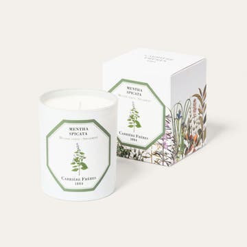 Bougie parfumée 100% cire végétale, Menthe verte