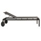 Chaise longue NATAL ALU de Tribù, Wengé 