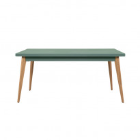 Table 55 pieds en bois de Tolix, 200 x 95, Finition mat texturé, Vert Lichen