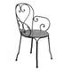 Fauteuil 1900 Carbone 