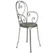 Fauteuil 1900 Romarin