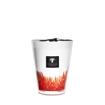 Bougie MAXI MAX FEATHERS MASAAI de Baobab Collection