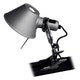 Applique TOLOMEO PINZA de Artemide