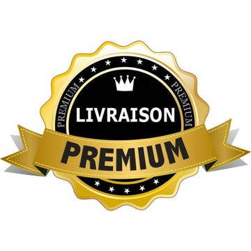 Livraison Premium Express Géodis