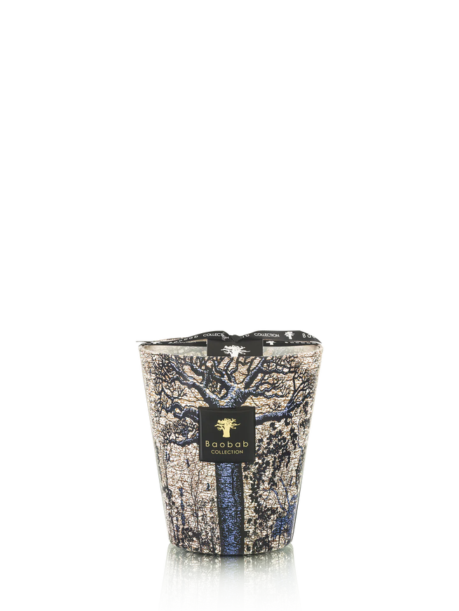 Bougie MAX 16 SEGUELA de Baobab Collection Bougie MAX 16 SEGUELA de Baobab Collection